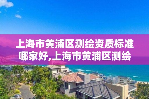 上海市黃浦區測繪資質標準哪家好,上海市黃浦區測繪中心