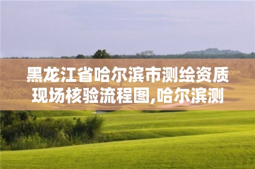 黑龍江省哈爾濱市測繪資質現場核驗流程圖,哈爾濱測繪局幼兒園是民辦還是公辦。