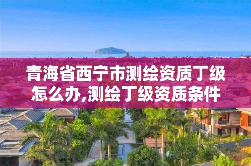 青海省西寧市測繪資質丁級怎么辦,測繪丁級資質條件。