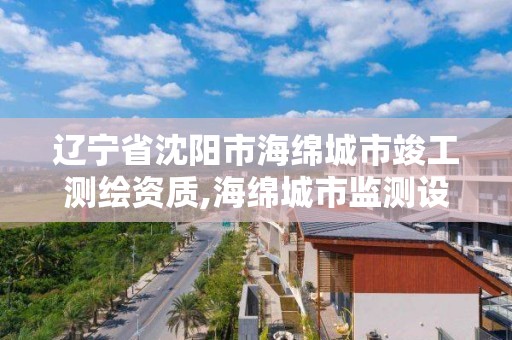 遼寧省沈陽市海綿城市竣工測繪資質,海綿城市監測設備廠家