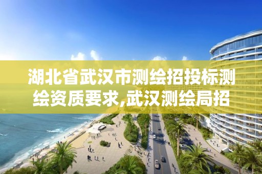 湖北省武漢市測繪招投標測繪資質要求,武漢測繪局招聘