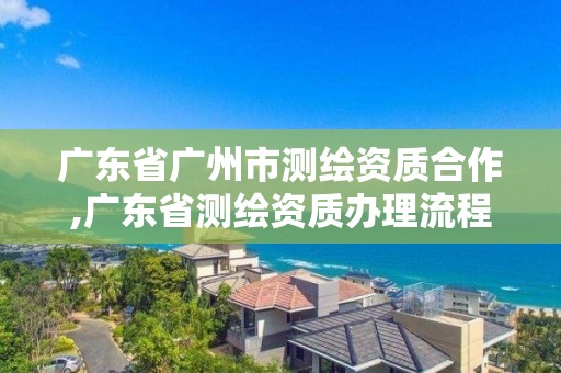 廣東省廣州市測繪資質合作,廣東省測繪資質辦理流程