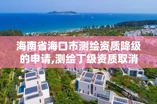 海南省海口市測繪資質降級的申請,測繪丁級資質取消