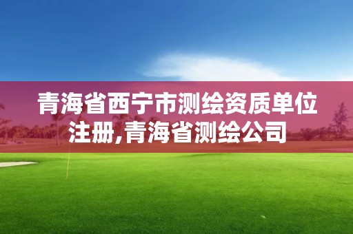 青海省西寧市測繪資質單位注冊,青海省測繪公司