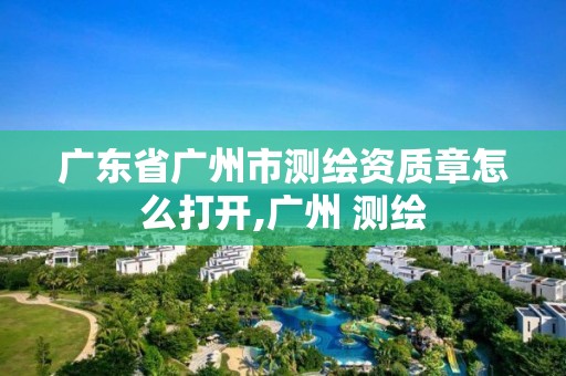 廣東省廣州市測繪資質章怎么打開,廣州 測繪