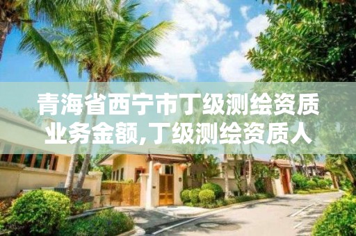 青海省西寧市丁級測繪資質業務金額,丁級測繪資質人員要求