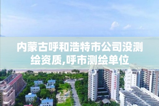 內蒙古呼和浩特市公司沒測繪資質,呼市測繪單位