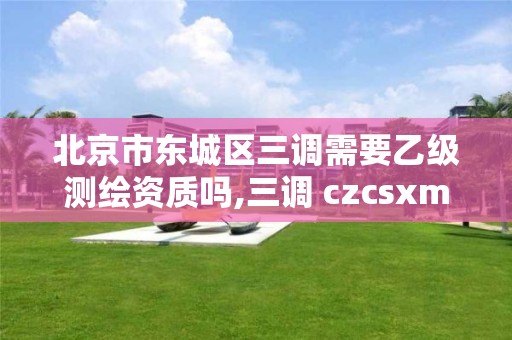 北京市東城區三調需要乙級測繪資質嗎,三調 czcsxm。