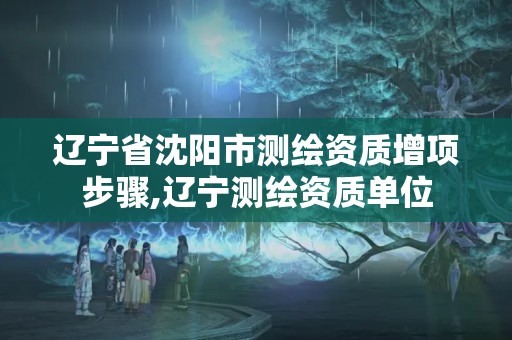 遼寧省沈陽市測繪資質增項步驟,遼寧測繪資質單位