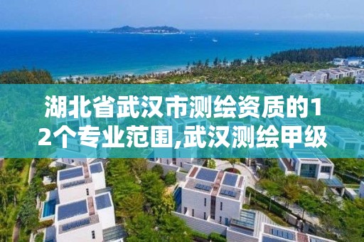 湖北省武漢市測繪資質的12個專業范圍,武漢測繪甲級資質公司。