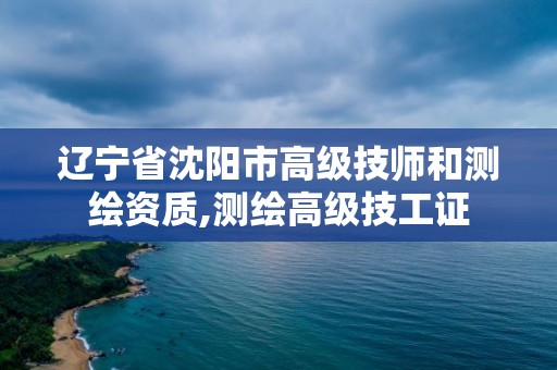 遼寧省沈陽市高級技師和測繪資質,測繪高級技工證