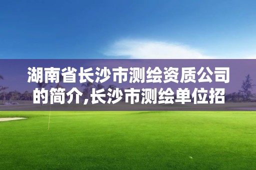 湖南省長沙市測繪資質公司的簡介,長沙市測繪單位招聘