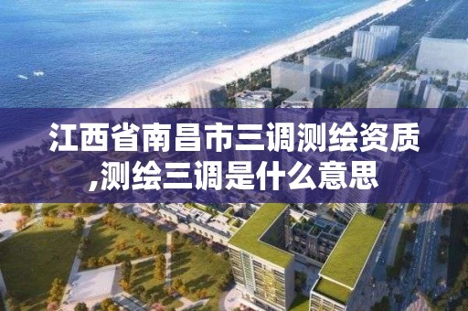 江西省南昌市三調測繪資質,測繪三調是什么意思