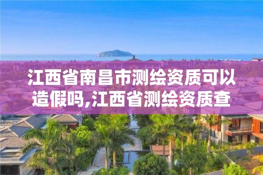 江西省南昌市測繪資質可以造假嗎,江西省測繪資質查詢