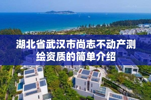 湖北省武漢市尚志不動產(chǎn)測繪資質(zhì)的簡單介紹