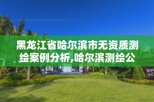 黑龍江省哈爾濱市無資質測繪案例分析,哈爾濱測繪公司招聘