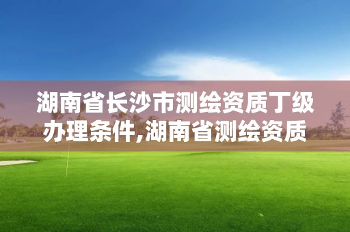 湖南省長沙市測繪資質丁級辦理條件,湖南省測繪資質查詢