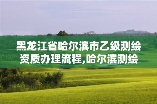 黑龍江省哈爾濱市乙級測繪資質辦理流程,哈爾濱測繪局屬于什么單位