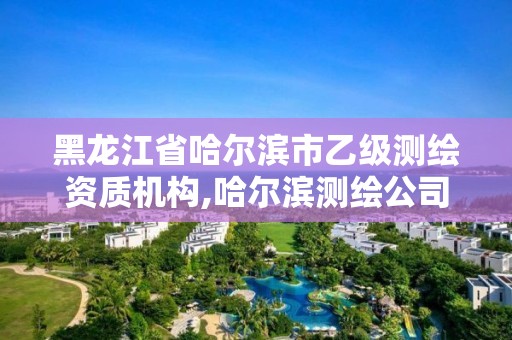 黑龍江省哈爾濱市乙級測繪資質(zhì)機構(gòu),哈爾濱測繪公司哪家好