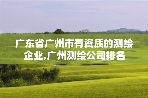 廣東省廣州市有資質的測繪企業,廣州測繪公司排名