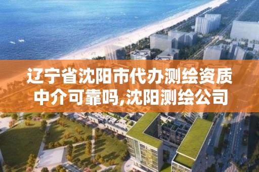 遼寧省沈陽市代辦測繪資質中介可靠嗎,沈陽測繪公司哪個好點