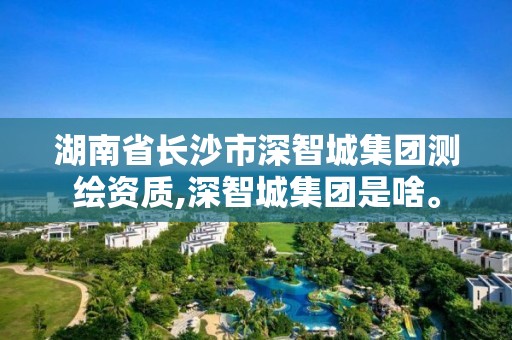 湖南省長沙市深智城集團測繪資質,深智城集團是啥。