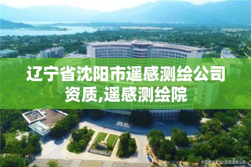 遼寧省沈陽市遙感測繪公司資質,遙感測繪院