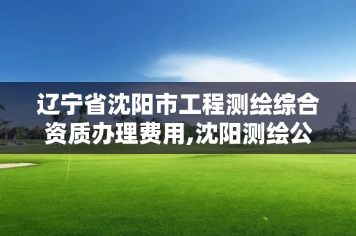 遼寧省沈陽市工程測繪綜合資質辦理費用,沈陽測繪公司招聘信息最新招聘。