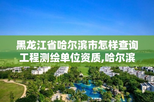 黑龍江省哈爾濱市怎樣查詢工程測繪單位資質(zhì),哈爾濱測繪地理信息局