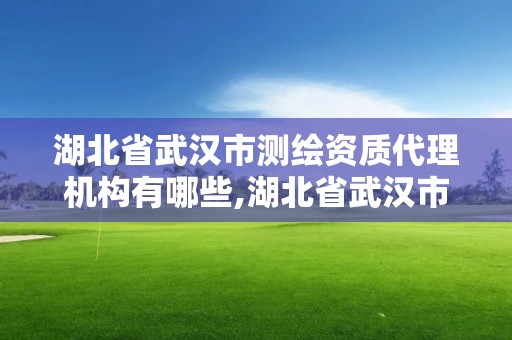 湖北省武漢市測(cè)繪資質(zhì)代理機(jī)構(gòu)有哪些,湖北省武漢市測(cè)繪資質(zhì)代理機(jī)構(gòu)有哪些公司。