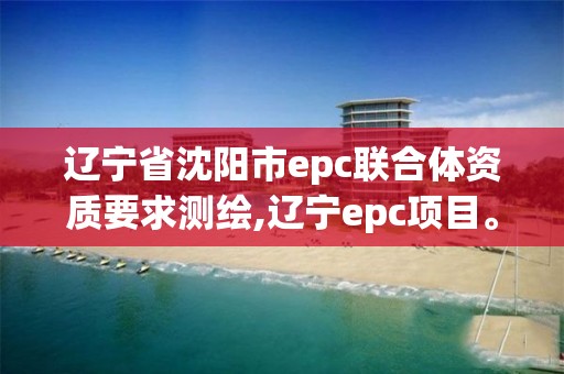 遼寧省沈陽市epc聯(lián)合體資質(zhì)要求測繪,遼寧epc項目。