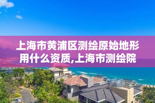 上海市黃浦區測繪原始地形用什么資質,上海市測繪院調取地形圖