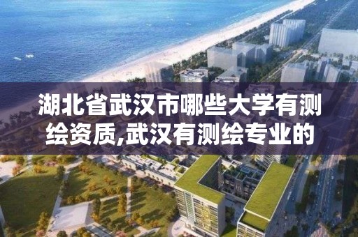 湖北省武漢市哪些大學有測繪資質,武漢有測繪專業的大學