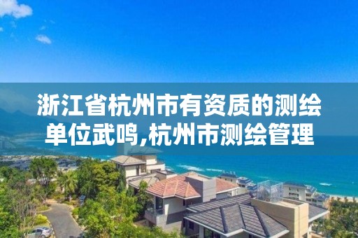 浙江省杭州市有資質的測繪單位武鳴,杭州市測繪管理服務平臺。