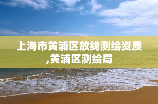 上海市黃浦區放線測繪資質,黃浦區測繪局