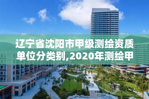 遼寧省沈陽市甲級測繪資質單位分類別,2020年測繪甲級資質條件