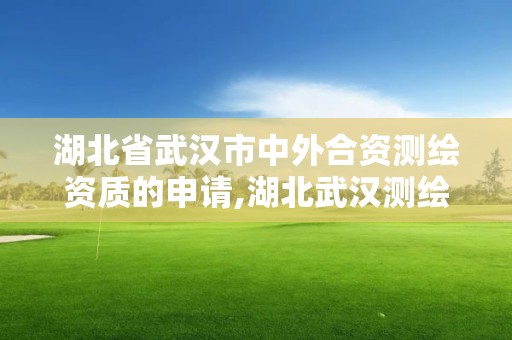 湖北省武漢市中外合資測繪資質的申請,湖北武漢測繪公司排行榜。