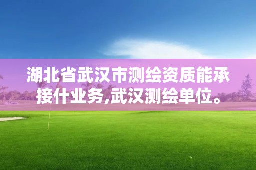 湖北省武漢市測繪資質能承接什業(yè)務,武漢測繪單位。