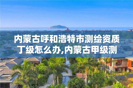 內(nèi)蒙古呼和浩特市測繪資質(zhì)丁級怎么辦,內(nèi)蒙古甲級測繪資質(zhì)單位。