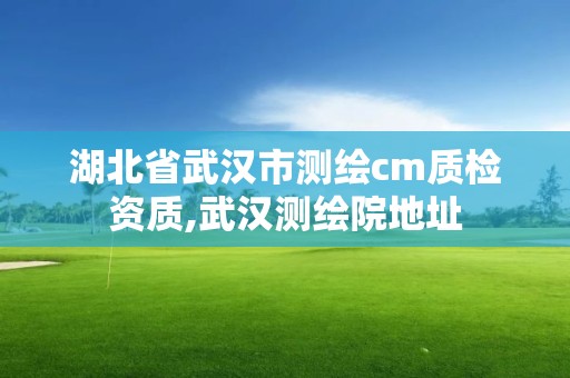 湖北省武漢市測繪cm質檢資質,武漢測繪院地址