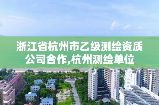 浙江省杭州市乙級測繪資質公司合作,杭州測繪單位