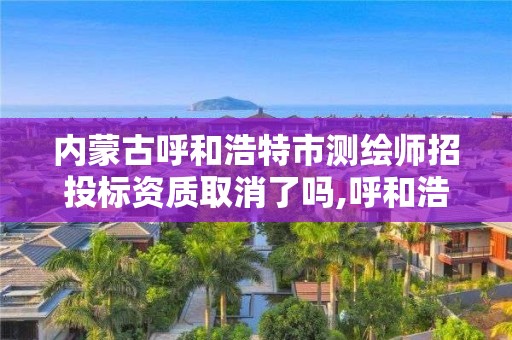 內蒙古呼和浩特市測繪師招投標資質取消了嗎,呼和浩特測繪招聘。