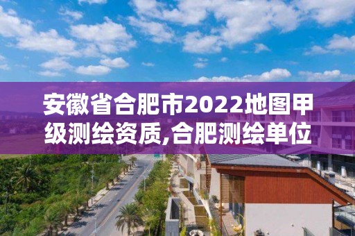 安徽省合肥市2022地圖甲級測繪資質,合肥測繪單位