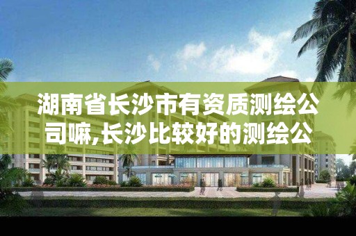 湖南省長沙市有資質測繪公司嘛,長沙比較好的測繪公司