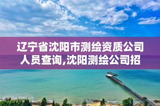 遼寧省沈陽市測繪資質公司人員查詢,沈陽測繪公司招聘信息最新招聘