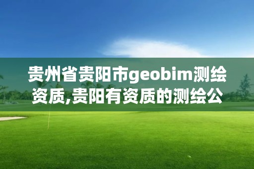 貴州省貴陽市geobim測繪資質,貴陽有資質的測繪公司