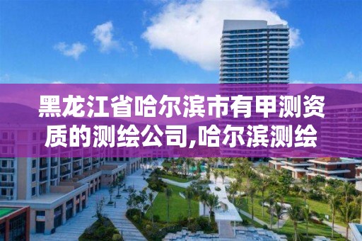 黑龍江省哈爾濱市有甲測(cè)資質(zhì)的測(cè)繪公司,哈爾濱測(cè)繪專(zhuān)科學(xué)校。