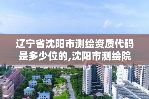 遼寧省沈陽市測繪資質代碼是多少位的,沈陽市測繪院電話。