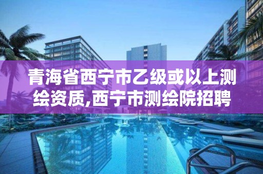 青海省西寧市乙級或以上測繪資質,西寧市測繪院招聘公示