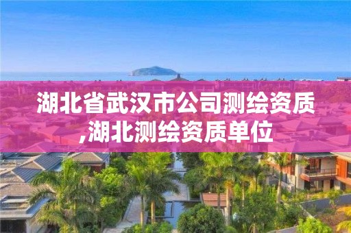 湖北省武漢市公司測(cè)繪資質(zhì),湖北測(cè)繪資質(zhì)單位